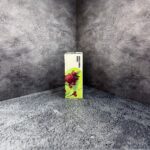 YUMMY SOUR (кислая клюква, малина)