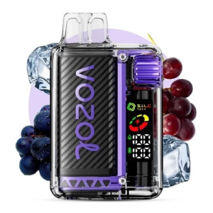 VOZOL VISTA 20K (черника, кислая малина)